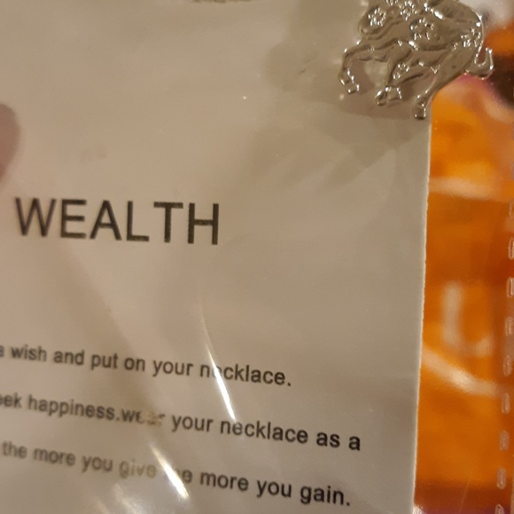 New Dogeared Necklace Wealth The Bull. - Picture 5 of 6